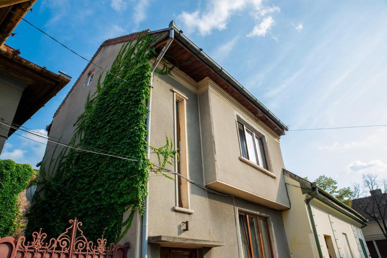 Bed&Wine In The Center Of Oradea Appartement Buitenkant foto